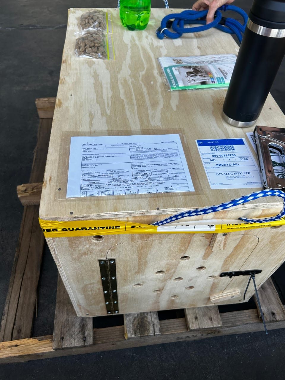 Kenelm pet travel crate with export and quarantine documentation